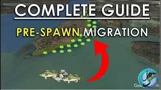 Easy Guide to Pre-Spawn Bass Fishing | Best Spring Fishing Areas