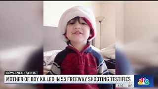 Mother of boy killed in 55 Freeway shooting testifies