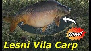 Fishing Planet Romania- Carp Lesni Vila Rapid Si Usor!