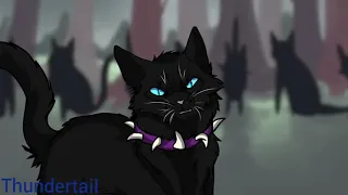 Scourge [ RISE ] warrior cats |animation tribute|