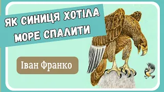 ЯК СИНИЦЯ ХОТІЛА СПАЛИТИ МОРЕ (Іван Франко) БАЙКА ПРО БАЙКУ - аудіоказка українською мовою