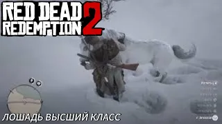 Red Dead Redemption 2 | ЛОШАДЬ ВЫСШИЙ КЛАСС