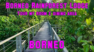 Borneo Rainforest Lodge tour of facilities - 03 May 2023 - 4K
