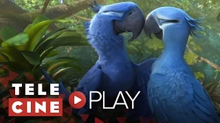 Rio 2 | Telecine Play