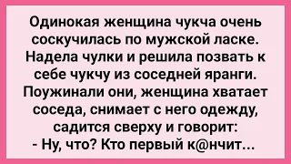 Одинокая Женщина Чукча Пригласила Мужика из Соседней Яранги! Сборник Свежих Жизненных Анекдотов!