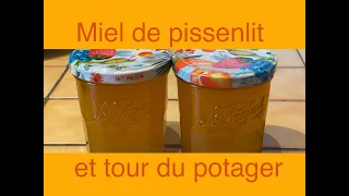 163 Miel de pissenlit et tour du jardin en avril