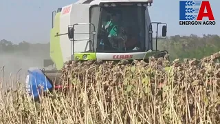 Жатка Franco Fabril VS Harvester