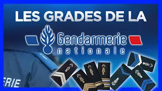 Les grades de la Gendarmerie Nationale !