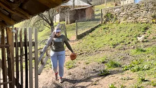 Life in a high mountain village: making strawberry cake and pea soup