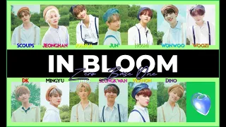 [AI COVER] How would Seventeen sing IN BLOOM by ZeroBaseOne