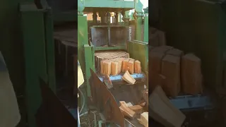 Fastest Firewood Machine For Splitting Large Logs