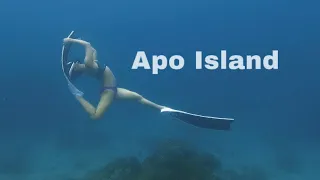 Dylzaree dives in Apo Island | Lawud Freediving