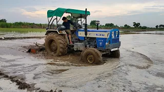 खेत में धान कैसे लगाए |swaraj tractor performance|😱best powerful tractor|5star ****