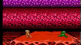 NES Battletoads Incredible tricks video (TAS)