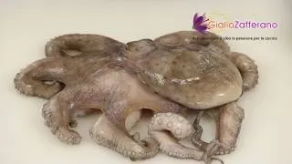How to clean octopus - cooking tutorial