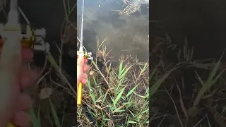 INSTANT Catch With a Pen Fishing Rod!
