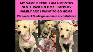 PLEASE FIND ECHO