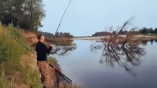 Закинул ночью на ракушку, утром проснулся весь берег. Рыбалка на реке Ахтуба 2 часть.