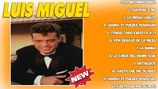 LUIS MIGUEL (15 GRANDES EXITOS) SUS MEJORES CANCIONES - LUIS MIGUEL 90s Sus EXITOS Romanticos