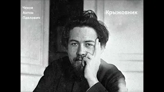 Чехов А.П. Рассказ "Крыжовник" Читает Д.Минин