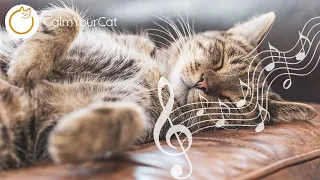 Calm Your Cat Music - 20 HOURS of Songs Cats LOVE ❤️🐱