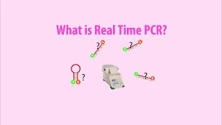 Real Time PCR - Basic simple animation - part 1 intro HD