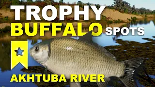 Russian Fishing 4 TROPHY BUFFALO SPOTS Akhtuba River