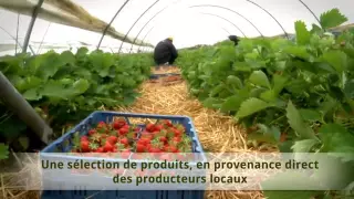Cora Rocourt - Fruits et légumes