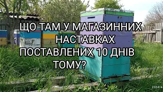 Магазинні наставки.Розширення бджолосімей.Пасічний візок.