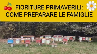 Fioriture primaverili: come preparare le famiglie! 🏵️🌸🍒