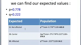 Hardy Weinberg Chi Squared