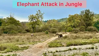 Elephant Attack || Elephant Charging #junglesafari #rajajinationalpark @VivekAwasthiVlogs