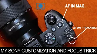 My Sony Customization & Focus Trick - Sony a1, a7RV, A7IV, A7SIII