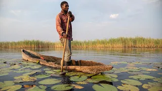 The race to save Zambia’s wetlands