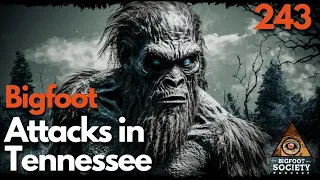 Bigfoot Encounters in Tennessee with Elijah Henderson from @CryptidStudiesInstitute / Episode 243