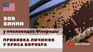 144 семьи-воспитательницы и прививка личинок в хозяйстве Криса Ворнера. Пчеловоды Флориды (часть 3)