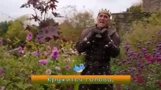 "Суровая Мужская Нежность" из 7 эпизода "Галаванта" - GladiolusTV