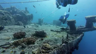 Thistlegorm wreck dive (outside)