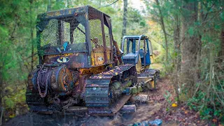 We RECOVERED A DOZER that was Stuck in WOODS 30 YEARS!