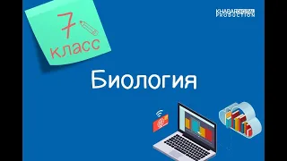 Биология. 7 класс. Органы движения у животных. Способы движения позвоночных животных, примеры