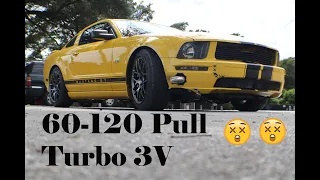 TURBO 3V MUSTANG 60-120 PULL