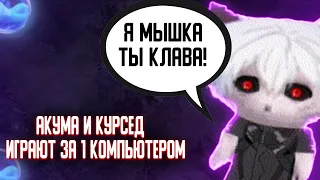 КУРСЕД ИГРАЕТ С АКУМОЙ ЗА ОДНИМ КОМПЬЮТЕРОМ | 993 ЧАСОВОЙ СТРИМ | ZXCURSED