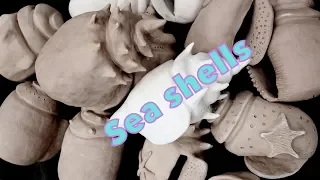 How to make a clay sea shell sculpture