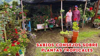 Las PLANTAS un estilo de VIDA, así es como MARÍA y RUBENSITO hacen FLORECER su hermoso JARDÍN |AP