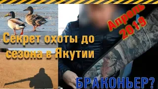 Охочусь до начала сезона охоты на уток в Якутии