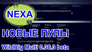 NEXA | НОВЫЕ ПУЛЫ | WildRig Multi 0.36.3 beta | BZ-miner  beta v13.1.0b6 NEXA в телеге, вышел позже.