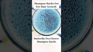 Shampoo Hacks For Hair Growth l Butterfly Pea Flower Shampoo Hacks #shorts #ytshort #youtubeshorts