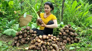 Harvesting Taro from the garden to sell at the market - Preparing dishes from Taro | Trieu Thi Thuy