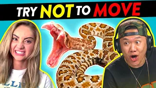 YouTube & TikTok Creators React To The Try Not to Move Challenge