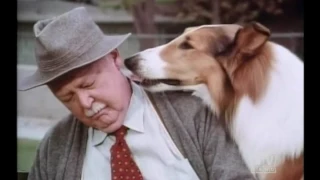 Lassie The Alone Years (Season 17 Eps8 Flock of Love)